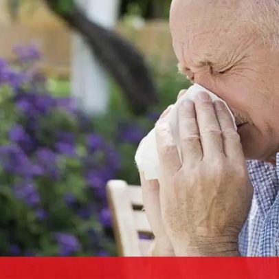 Concentração de pólen elevada em todo o continente na próxima semana