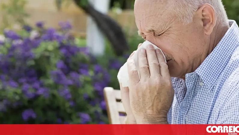 Concentração de pólen elevada em todo o continente na próxima semana