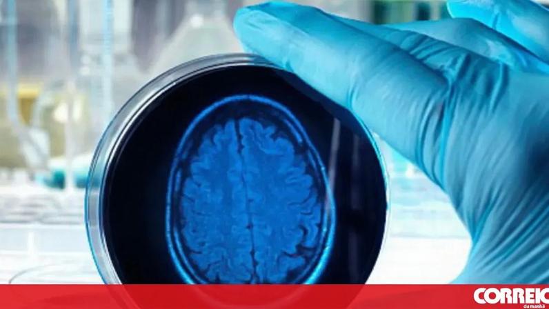 Investigadores criam plataforma de detecção precoce de Alzheimer pela voz