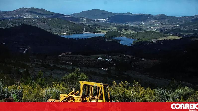 Montenegro afirma investir fortemente na limpeza florestal