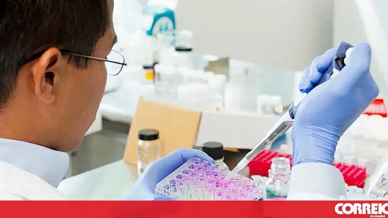 Investigação para a cura do cancro