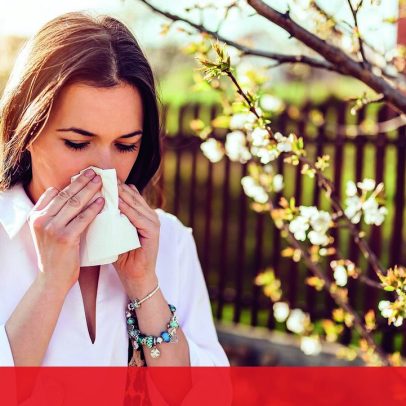Concentração de pólen elevada em Lisboa, Alentejo, Algarve e Castelo Branco