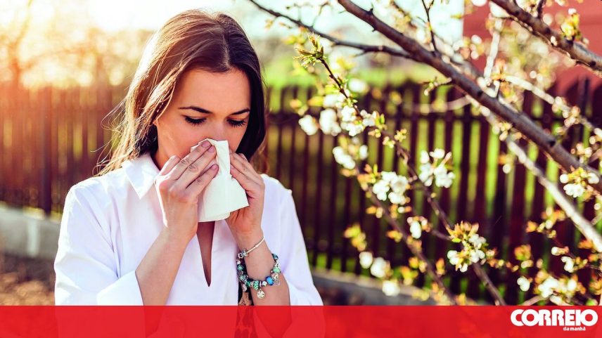 Concentração de pólen elevada em Lisboa, Alentejo, Algarve e Castelo Branco