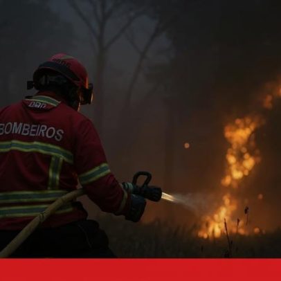 Ex-presidente da proteção civil defende auditoria aos gastos da prevenção de incêndios