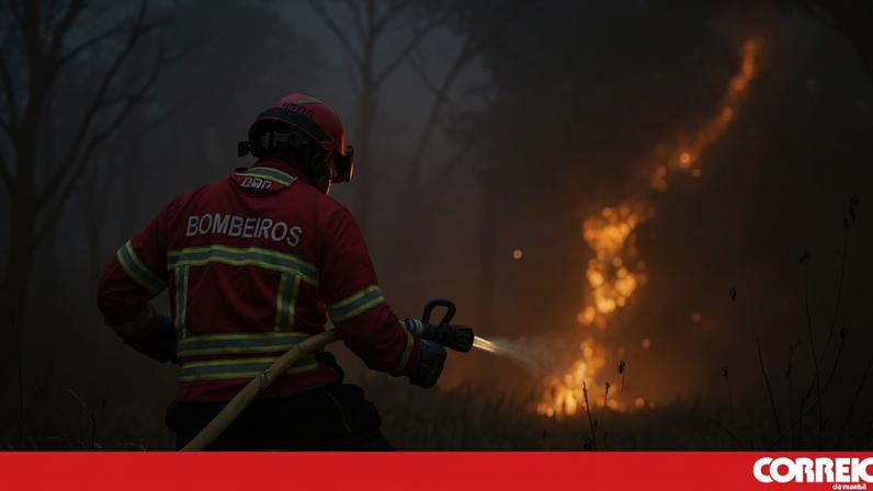 Ex-presidente da proteção civil defende auditoria aos gastos da prevenção de incêndios