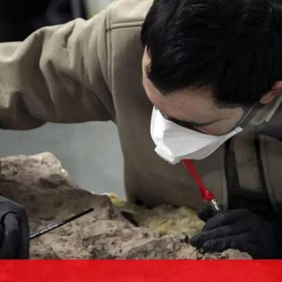 Iguanodontes podem ser 16 milhões de anos mais antigos do que se pensava