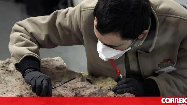 Iguanodontes podem ser 16 milhões de anos mais antigos do que se pensava