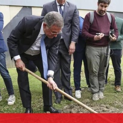 Seguro planta medronheiro em Proença-a-Nova após prejuízos do mau tempo