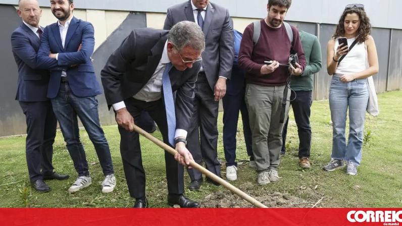 Seguro planta medronheiro em Proença-a-Nova após prejuízos do mau tempo