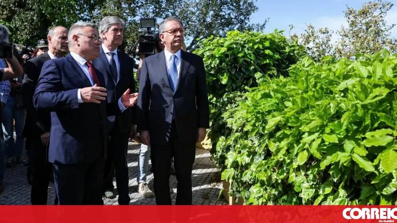 Presidente da República aprova acordo a três para o Tribunal Constitucional