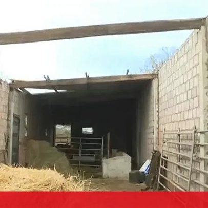 Fenómeno de vento provocou mais de 130 mil euros de prejuízos em Vinhais