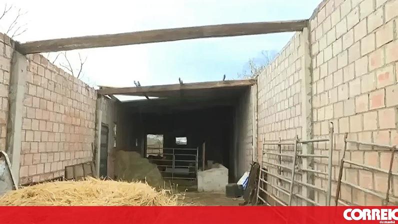 Fenómeno de vento provocou mais de 130 mil euros de prejuízos em Vinhais