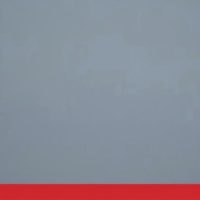 Aula de remo em Oeiras confundida com desembarque de migrantes