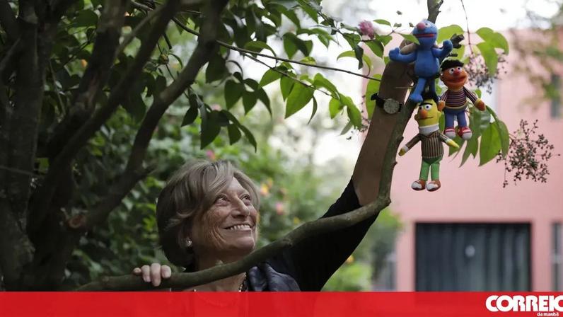 Morre Maria Emília Brederode dos Santos, diretora pedagógica da Rua Sésamo
