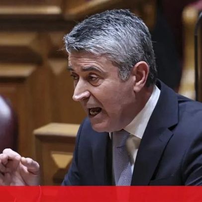 Líder do PS afirma que apoios diretos à viticultura ficam em risco no próximo quadro