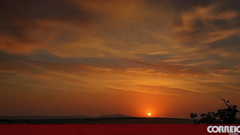 Já houve um tempo em que as vinhas portuguesas recebiam de braços abertos as castas que vinham de fora.