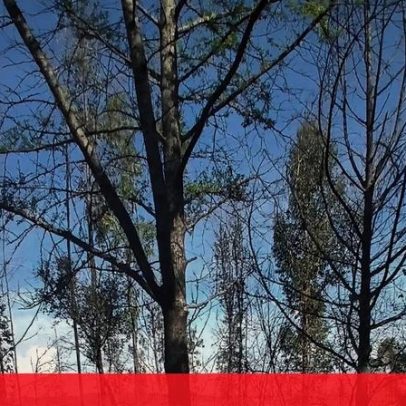 Acidente entre quatro carros deixa 11 feridos em Felgueiras