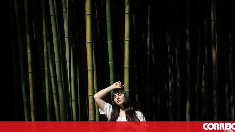 Jovens autistas encontram pertença em espaço com dança, música e surf