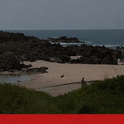 Homem que ia pescar polvo desaparece em Viana do Castelo