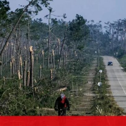 Fraudes nos apoios a afetados por tempestades podem chegar a milhões de euros