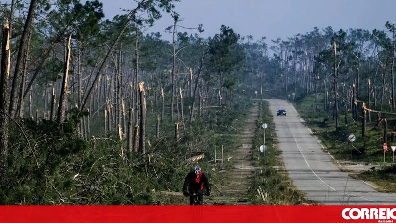 Fraudes nos apoios a afetados por tempestades podem chegar a milhões de euros