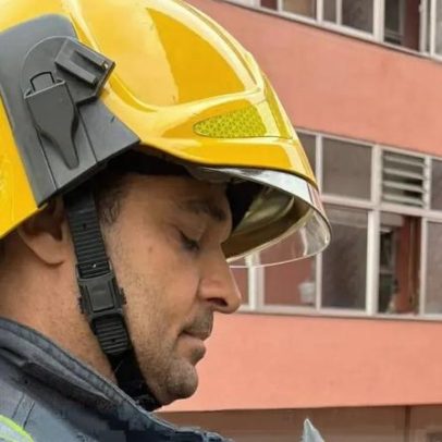 Bombeiros resgatam gato de árvore em Gondomar
