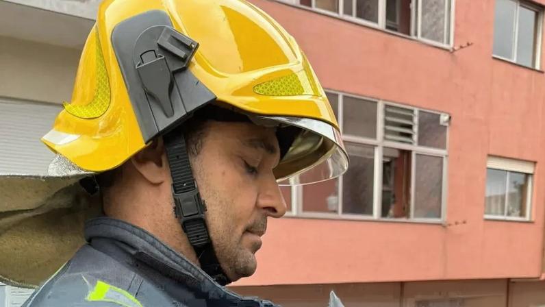 Bombeiros resgatam gato de árvore em Gondomar