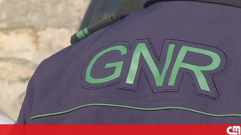 Homem detido por agressões físicas e sexuais à companheira em Ponte de Sor