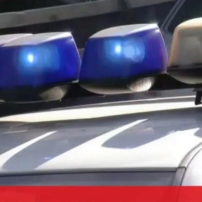 Mãe, bebé e adolescente morrem numa caça aos ovos na Alemanha