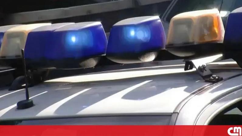 Mãe, bebé e adolescente morrem durante caça aos ovos da Páscoa na Alemanha