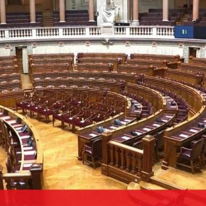 Em direto: cerimónia dos 50 anos da Constituição da República Portuguesa