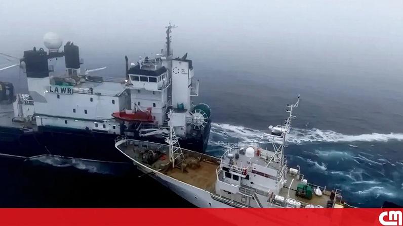 Imagens aéreas mostram a colisão de navio de ativistas com barco de pesca na Antártica