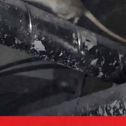 Infestação de ratos nos tetos de esquadra da PSP em Vila Nova de Gaia