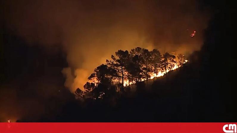 Incêndio em Vale de Cambra terá sido provocado por queimada não autorizada que se descontrolou