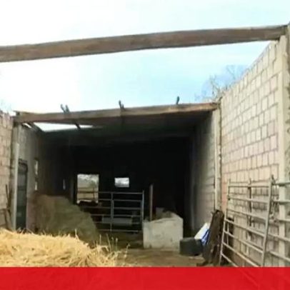 Vento extremo destrói telhados e derruba árvores em aldeia de Vinhais