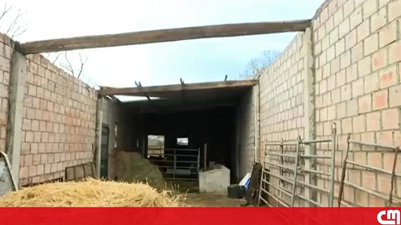 Vento extremo destrói telhados e derruba árvores em aldeia de Vinhais
