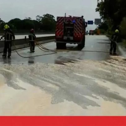 Carga de camião solta-se e deixa autoestrada coberta de milho
