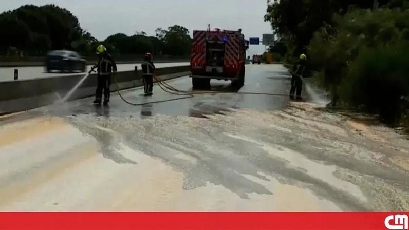 Carga de camião solta-se e deixa autoestrada coberta de milho