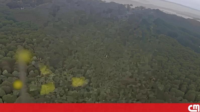 Imagens mostram destroços de avião após queda no meio da selva no Brasil