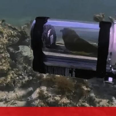 Liliana Oliveira comenta a polémica envolvendo Cristina Ferreira