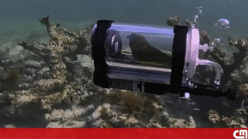 Liliana Oliveira comenta a polémica envolvendo Cristina Ferreira