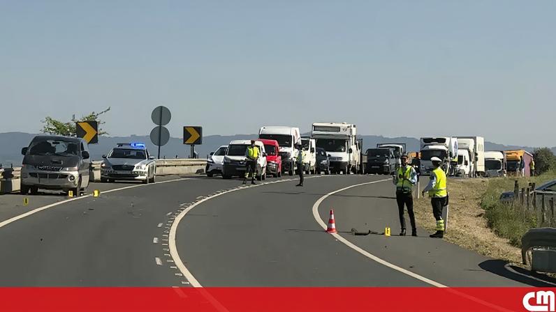 Homem para carrinha avariada na berma e morre atropelado no IP2, Beja