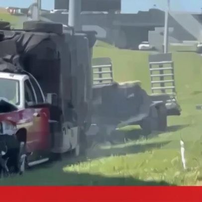 Cerca de um milhão de abelhas invadem saída de autoestrada nos EUA após acidente