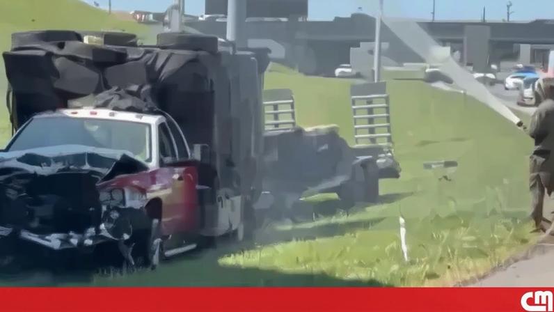 Cerca de um milhão de abelhas invadem saída de autoestrada nos EUA após acidente