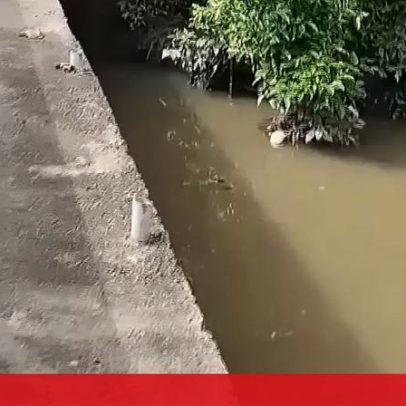 GNR identifica pecuária que poluiu linha de água nas Caldas da Rainha