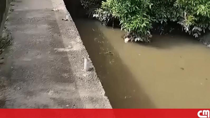 GNR identifica pecuária que poluiu linha de água nas Caldas da Rainha