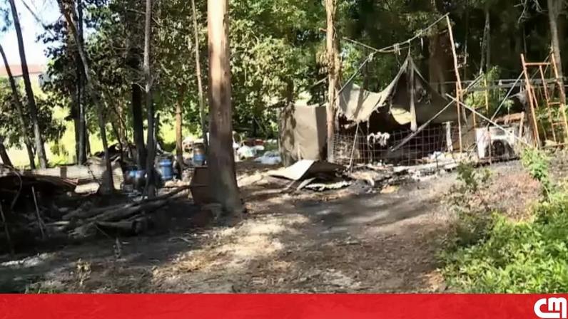 Incêndio destrói barracão agrícola no concelho de Coimbra