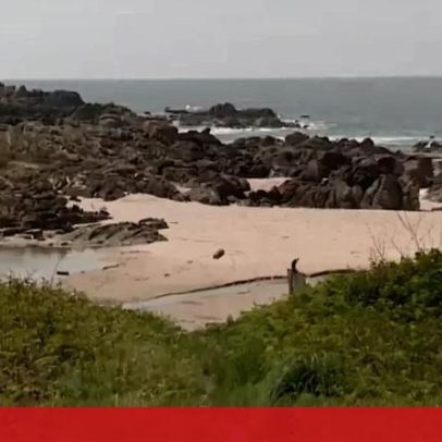 Materiais de pesca encontrados durante buscas por homem desaparecido em Viana