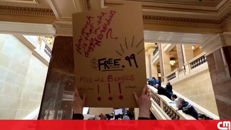 Ativistas dos animais protestam em frente ao gabinete do governador de Wisconsin