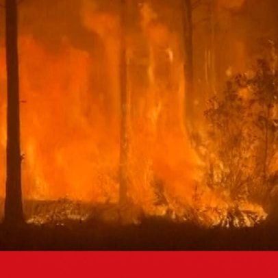 Incêndio florestal de dimensão obriga moradores a abandonar casas nos EUA